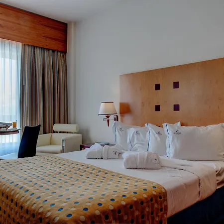 Vip Executive Santa Iria Hotel