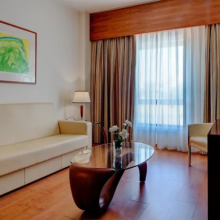 Vip Executive Santa Iria Hotel